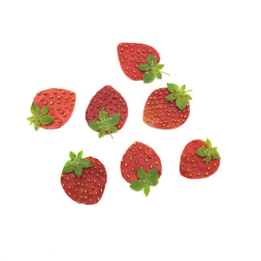 5pcs Pressed Dried Mini Strawberry Skin Slices Plant Herbarium For Jewelry Postcard Invitation Card Phone Case Bookmark DIY
5pcs Pressed Dried Mini Strawberry Skin Slices Plant Herbarium For Jewelry Postcard Invitation Card Phone Case Bookmark DIY