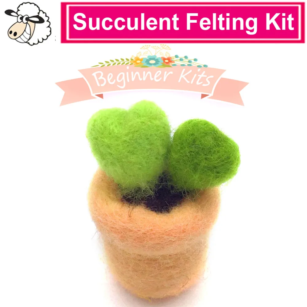Feltsky Succulent Needle Felting Kit with 3 Felting Needles and English Instruction for Needle Felting Beginners (8)
Feltsky Succulent Needle Felting Kit with 3 Felting Needles and English Instruction for Needle Felting Beginners (8)