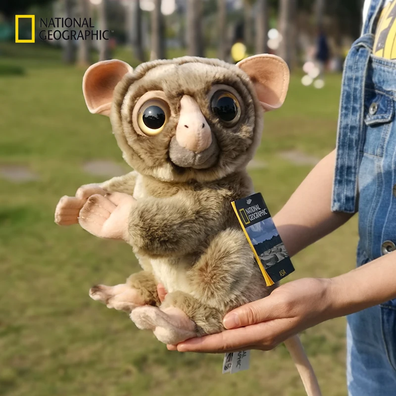 National Geographic 11.5" plush Doll Toys for children stuffed & plush monkey Sitting Tarsier Cute Animal
National Geographic 11.5" plush Doll Toys for children stuffed & plush monkey Sitting Tarsier Cute Animal