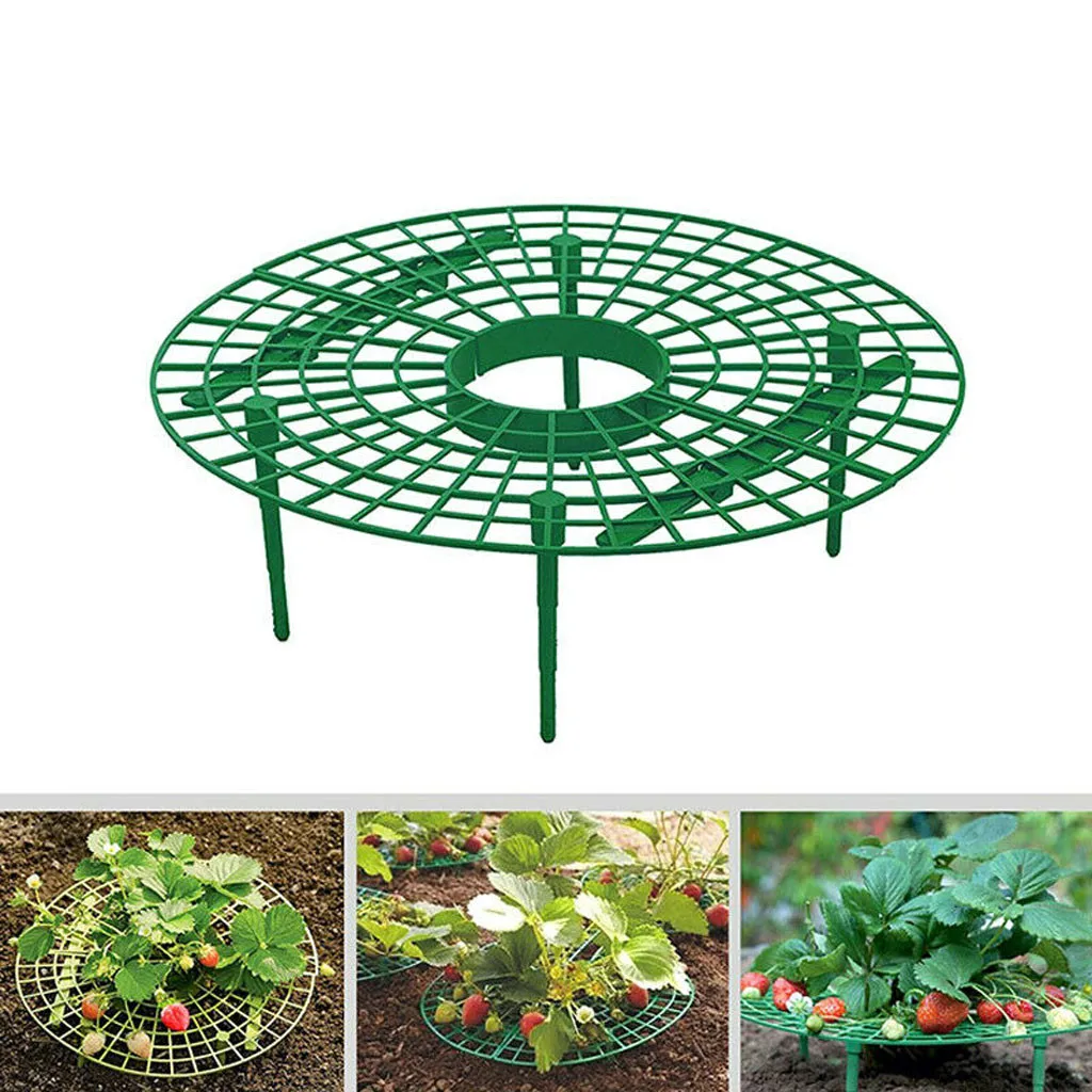 Best Selling 2019 Products Strawberry Plant Growing Supports Keep Strawberries Off Rot in the Rainy Days #30
Best Selling 2019 Products Strawberry Plant Growing Supports Keep Strawberries Off Rot in the Rainy Days #30