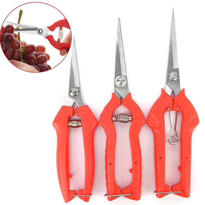 New Scissors garden bonsai tools chopper gardening tool graft pruning shears grass flower secator grafting Plant Cutter Hand
New Scissors garden bonsai tools chopper gardening tool graft pruning shears grass flower secator grafting Plant Cutter Hand