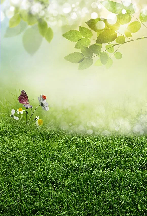 5x7ft Green Grass Garden Butterfly Bokeh Washable One Piece No Wrinkle Banner Photo Studio Background Backdrop Polyester Fabric
5x7ft Green Grass Garden Butterfly Bokeh Washable One Piece No Wrinkle Banner Photo Studio Background Backdrop Polyester Fabric