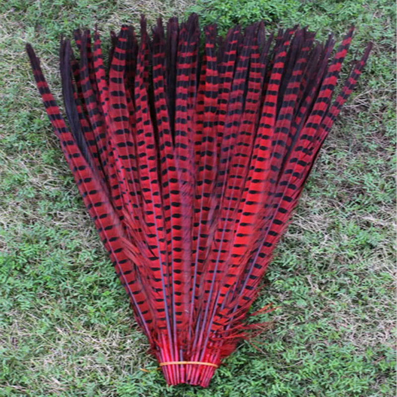 Free shipping 100 PCS long red color pheasant tail feathers 22-24inches/55-60cm
Free shipping 100 PCS long red color pheasant tail feathers 22-24inches/55-60cm
