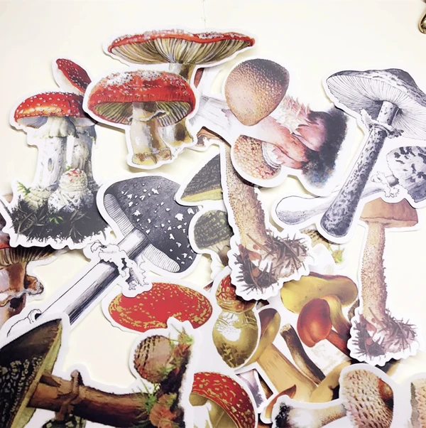 KLJUYP 16pcs Hand painted mushrooms Paper Stickers for Scrapbooking Happy Planner/Card Making/Journaling Project
KLJUYP 16pcs Hand painted mushrooms Paper Stickers for Scrapbooking Happy Planner/Card Making/Journaling Project