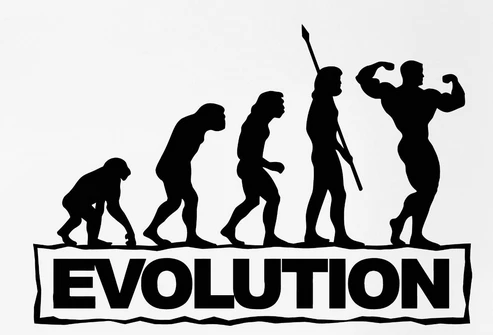 Sport Gym Wall Sticker Man Bodybuilding Fitness Evolution PVC Wall Sticker Fitness Centre Wall Decal Removeable Bedroom Decor
Sport Gym Wall Sticker Man Bodybuilding Fitness Evolution PVC Wall Sticker Fitness Centre Wall Decal Removeable Bedroom Decor