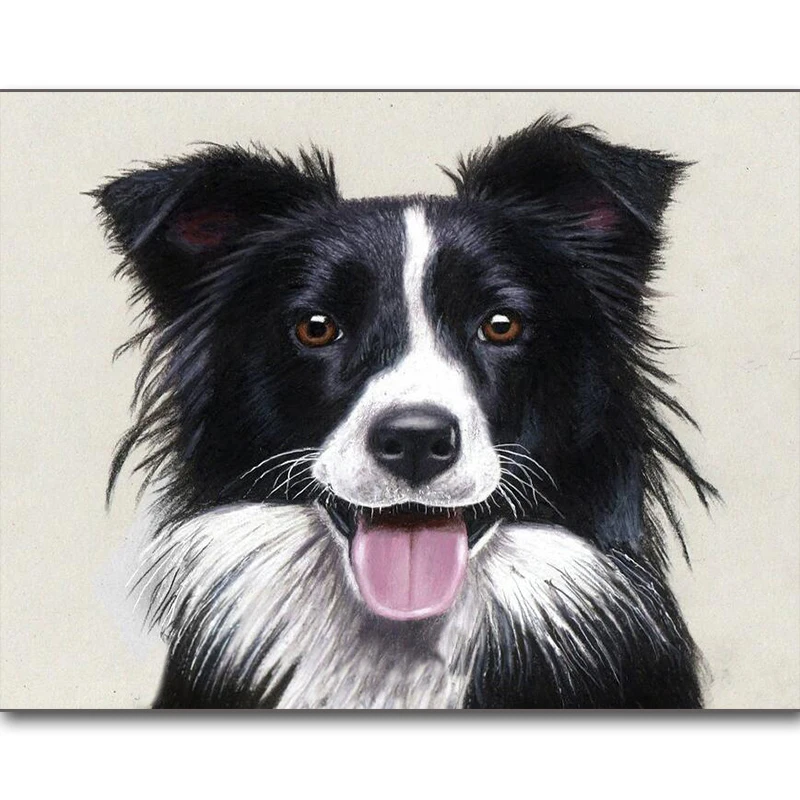 border collie drawing,Diamond embroidery,5d diy diamond Painting,rhinestone 3D picture cross stitch pattern Home decoration
border collie drawing,Diamond embroidery,5d diy diamond Painting,rhinestone 3D picture cross stitch pattern Home decoration