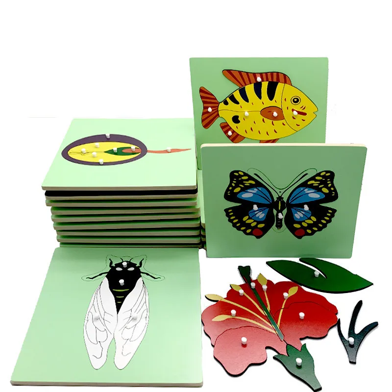Baby Early Educational Toys Animals Plants Panel 3D Puzzle Montessori Wooden Toys Frog Horse Fish Turtle Ect. Puzzles For Kids
Baby Early Educational Toys Animals Plants Panel 3D Puzzle Montessori Wooden Toys Frog Horse Fish Turtle Ect. Puzzles For Kids