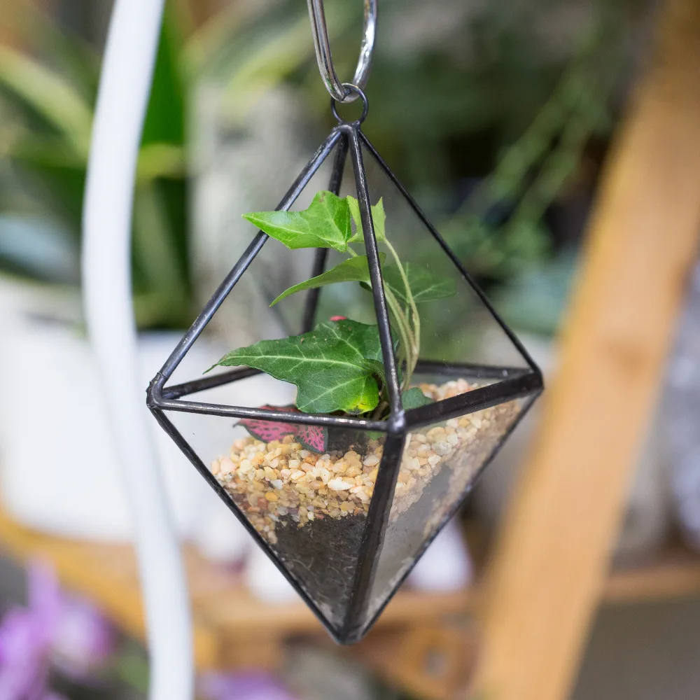Handmade Hanging Planter Bonsai Plant Pot Glass Geometric Terrarium Display Flower Pot Garden Decoration Planter for Succulents
Handmade Hanging Planter Bonsai Plant Pot Glass Geometric Terrarium Display Flower Pot Garden Decoration Planter for Succulents