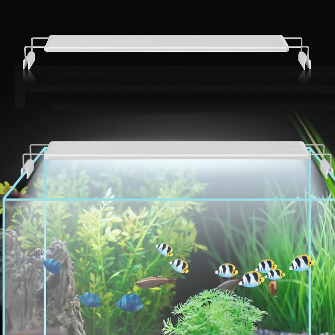 Clip-on Lamp Fish Tank 20-70CM Extensible Waterproof Super Slim LED Aquarium Light Aquatic Plant Lighting
Clip-on Lamp Fish Tank 20-70CM Extensible Waterproof Super Slim LED Aquarium Light Aquatic Plant Lighting