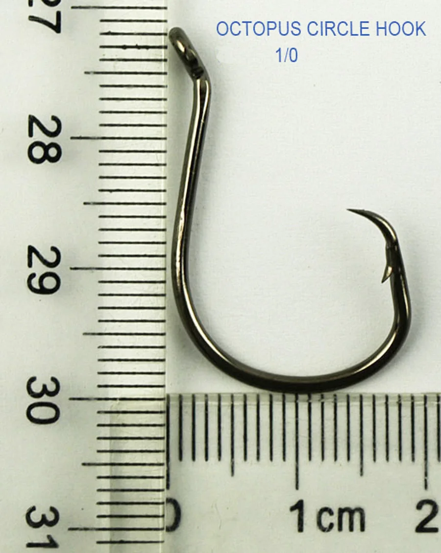 100 X 1/0 Fishing Hooks Stainless Steel Carbon Chemically Sharpened Octopus Circle Hook Fishing Tackle 7385 Fishing Hook
100 X 1/0 Fishing Hooks Stainless Steel Carbon Chemically Sharpened Octopus Circle Hook Fishing Tackle 7385 Fishing Hook