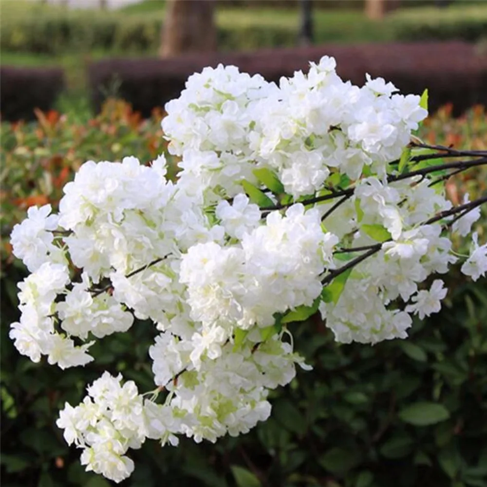 Artificial 1 Branchlet High-end Simulation Cherry Blossoms Plant Flowers Japanese-style Fake Wedding Home Decoration
Artificial 1 Branchlet High-end Simulation Cherry Blossoms Plant Flowers Japanese-style Fake Wedding Home Decoration