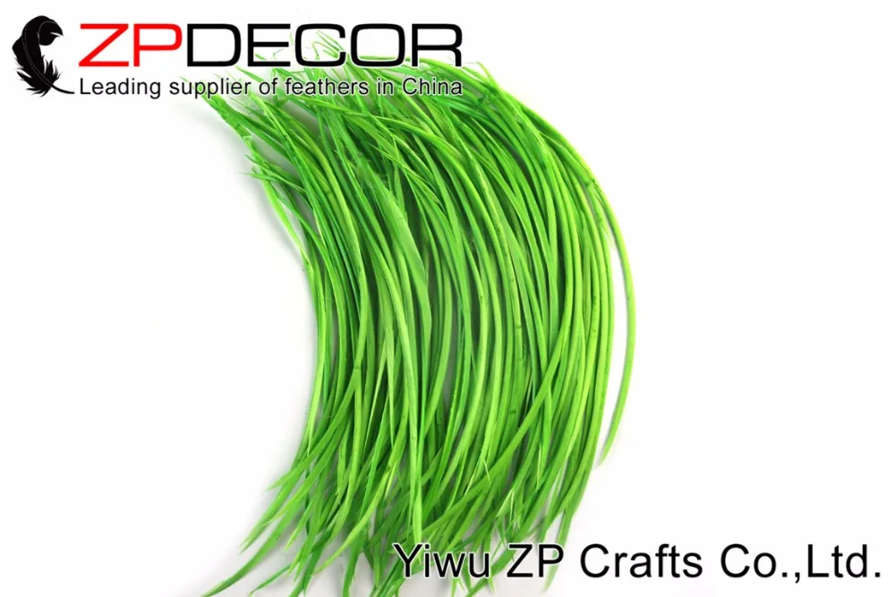 ZPDECOR 200pcs/lot 20-25cm(8-10inch) Premium Light Green Dyed Goose Biots Wholesale Feather Plume For DIY Crafting
ZPDECOR 200pcs/lot 20-25cm(8-10inch) Premium Light Green Dyed Goose Biots Wholesale Feather Plume For DIY Crafting