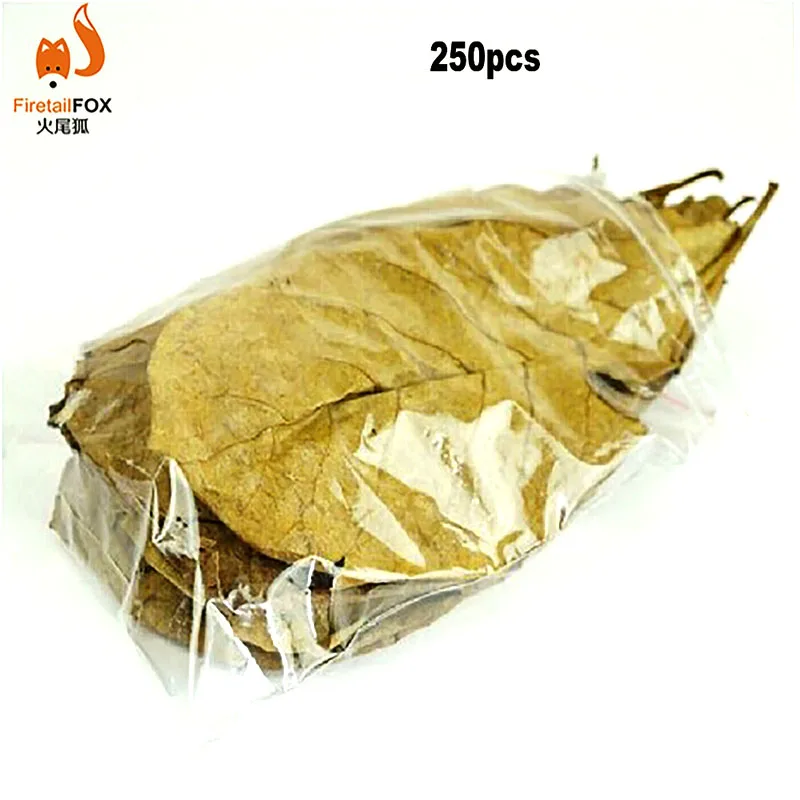 250 шт. натуральные листья для аквариума Catappa Foetida с фильтром воды|Очистка воды| |