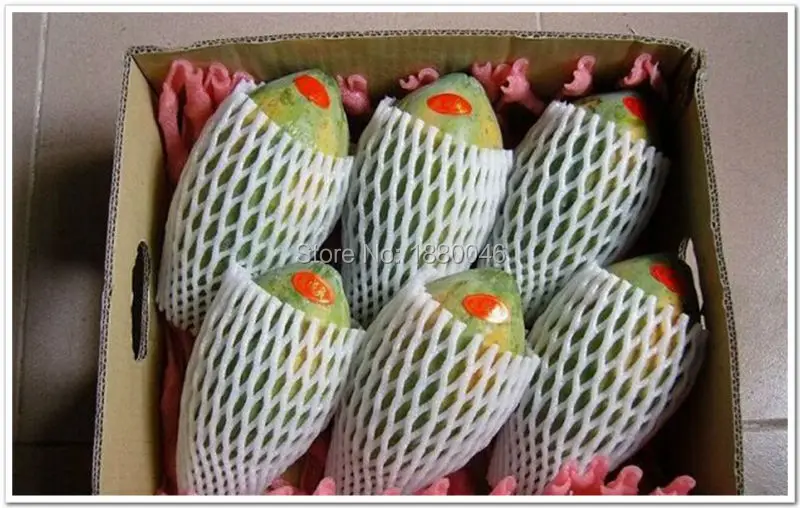 Free shipping 30x10cmThicken Fruit foam white EPE Foam mesh sleeve net fruit foam sleeve net flower sleeve net packing material
Free shipping 30x10cmThicken Fruit foam white EPE Foam mesh sleeve net fruit foam sleeve net flower sleeve net packing material