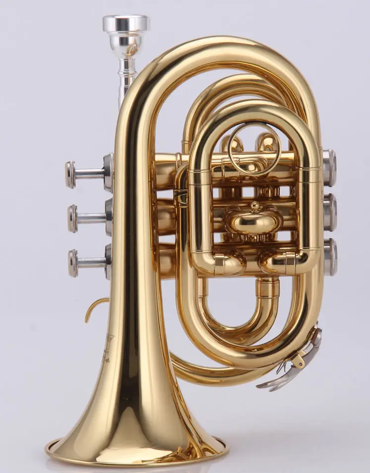 Top Brand Hand Trumpet Gold lacquer Brass body Stainless steel Valves With Case
Top Brand Hand Trumpet Gold lacquer Brass body Stainless steel Valves With Case