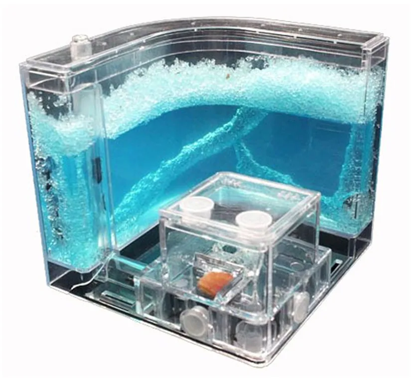 Hot Advanced Ant Nursery Farm Home Live With Feeding System Novelty Habitat Villa Blue Kids Children Toy Science Education
Hot Advanced Ant Nursery Farm Home Live With Feeding System Novelty Habitat Villa Blue Kids Children Toy Science Education