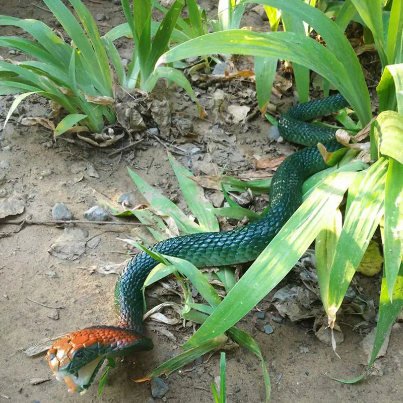 Art gift craft Gangnam home a large imitation soft snake Snake reptile model Cobra 80CM centimeters A small
Art gift craft Gangnam home a large imitation soft snake Snake reptile model Cobra 80CM centimeters A small