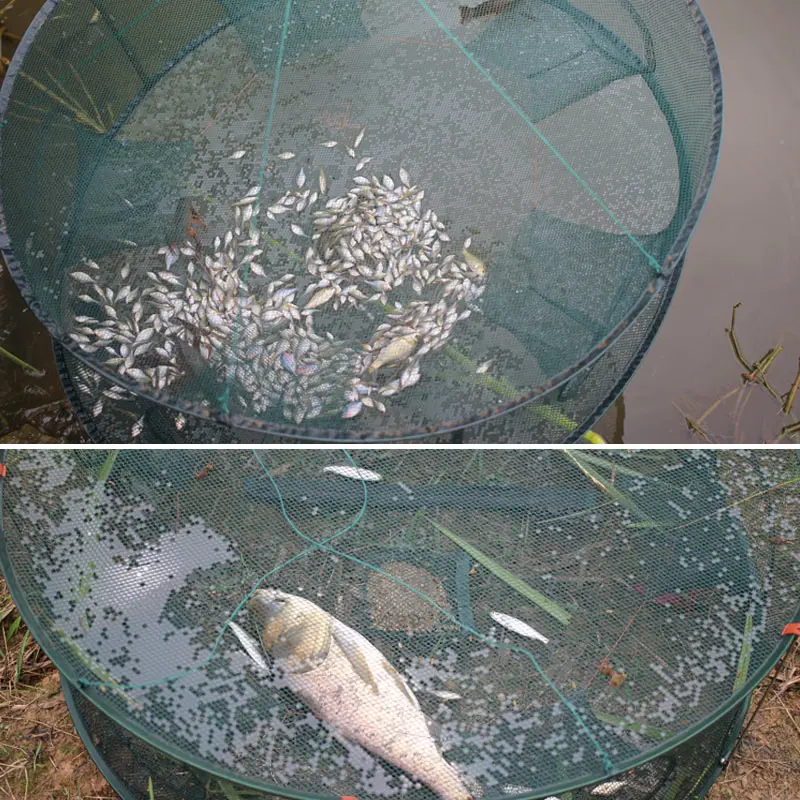 Automatic Fishing Net Trap Cage Round Shape Durable Open For Crab Crayfish Lobster EDF88
Automatic Fishing Net Trap Cage Round Shape Durable Open For Crab Crayfish Lobster EDF88