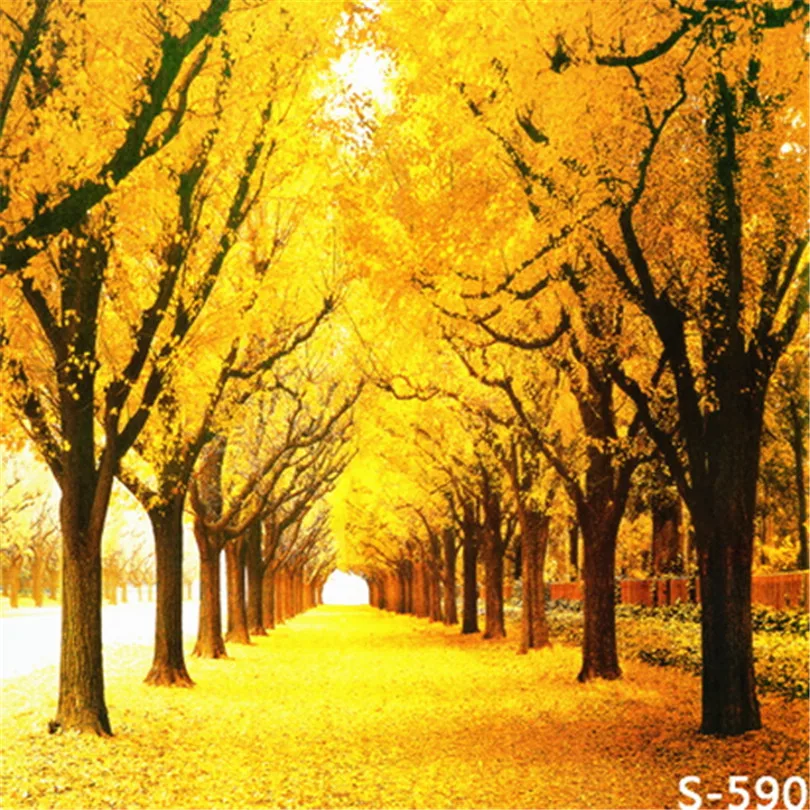 150*200 см золотые осенние натуральные фотографии фоны для фотостудии на заказ свадебные виниловые фоны для фотографии
150*200 см золотые осенние натуральные фотографии фоны для фотостудии на заказ свадебные виниловые фоны для фотографии