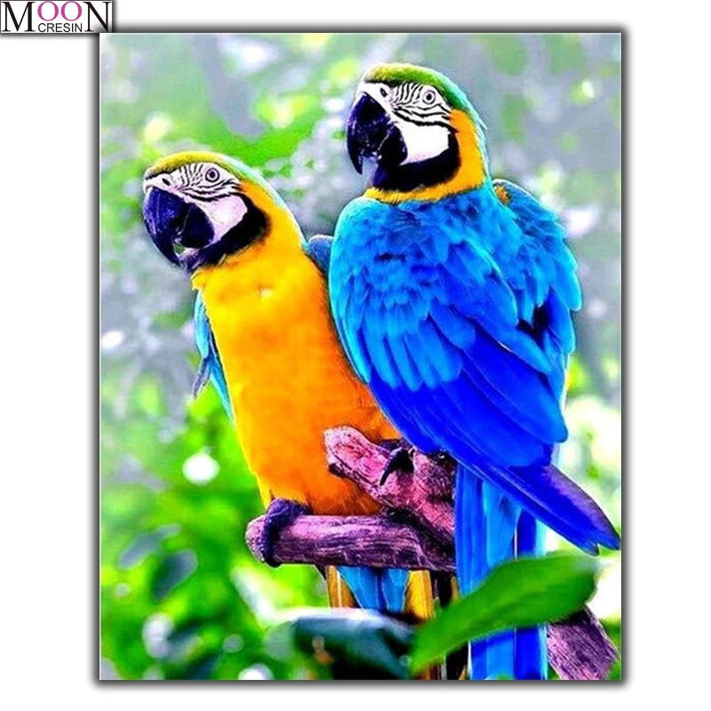 Diy Full Diamond Embroidery Colored Parrot Cross Stitch Painting 5D Square Accessories Decor Of Rhinestones Mosaic Sticker Bird
Diy Full Diamond Embroidery Colored Parrot Cross Stitch Painting 5D Square Accessories Decor Of Rhinestones Mosaic Sticker Bird
