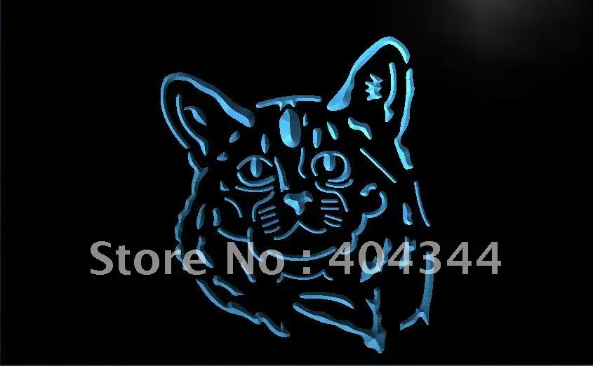 LB983- Somali Cat Pet Display Decor New Light Sign