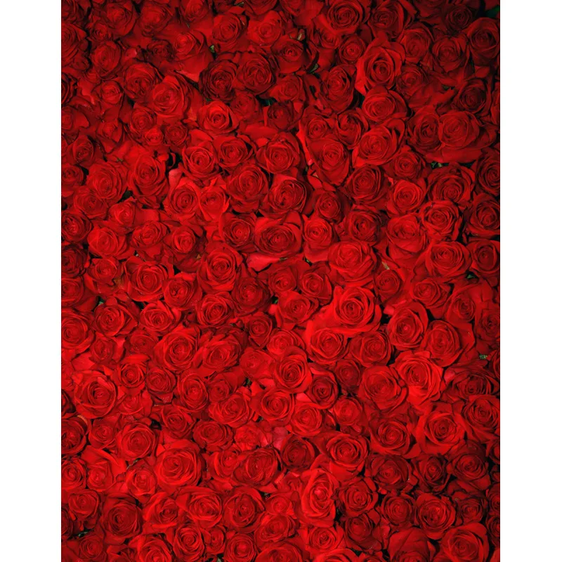 5x7ft Vinyl Photography Backdrop Valentine's Day Backdrop Computer Printed Children backdrops for photo Studio S-2553
5x7ft Vinyl Photography Backdrop Valentine's Day Backdrop Computer Printed Children backdrops for photo Studio S-2553