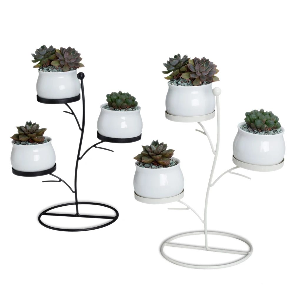 Nodic Modern Flower Pots Style White Succulent Planter Cactus Ceramic Flowerpots Iron Rack Holder Garden Desktop Home Decoration
Nodic Modern Flower Pots Style White Succulent Planter Cactus Ceramic Flowerpots Iron Rack Holder Garden Desktop Home Decoration