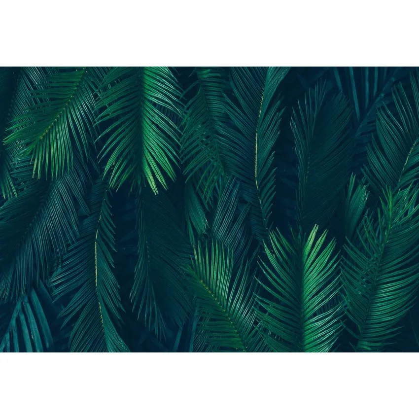 Vinyl Forest Backdrops for Photography Studio Children newborn Photo Background Shoot G-585
Vinyl Forest Backdrops for Photography Studio Children newborn Photo Background Shoot G-585
