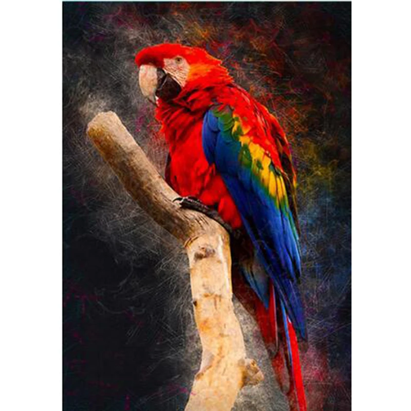 DIY 5D Diamond Painting The Red Cockatoo Landscape Full circular Diamond Embroidery Cross Stitch Rhinestone Home decor TT640
DIY 5D Diamond Painting The Red Cockatoo Landscape Full circular Diamond Embroidery Cross Stitch Rhinestone Home decor TT640
