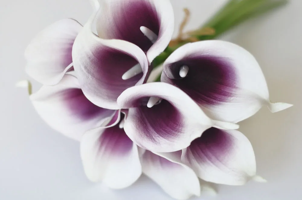 

9pcs Plum Center Real Touch Artificial Picasso Calla Lilies Flower Arrangement for Wedding Bouquet and Home Decor