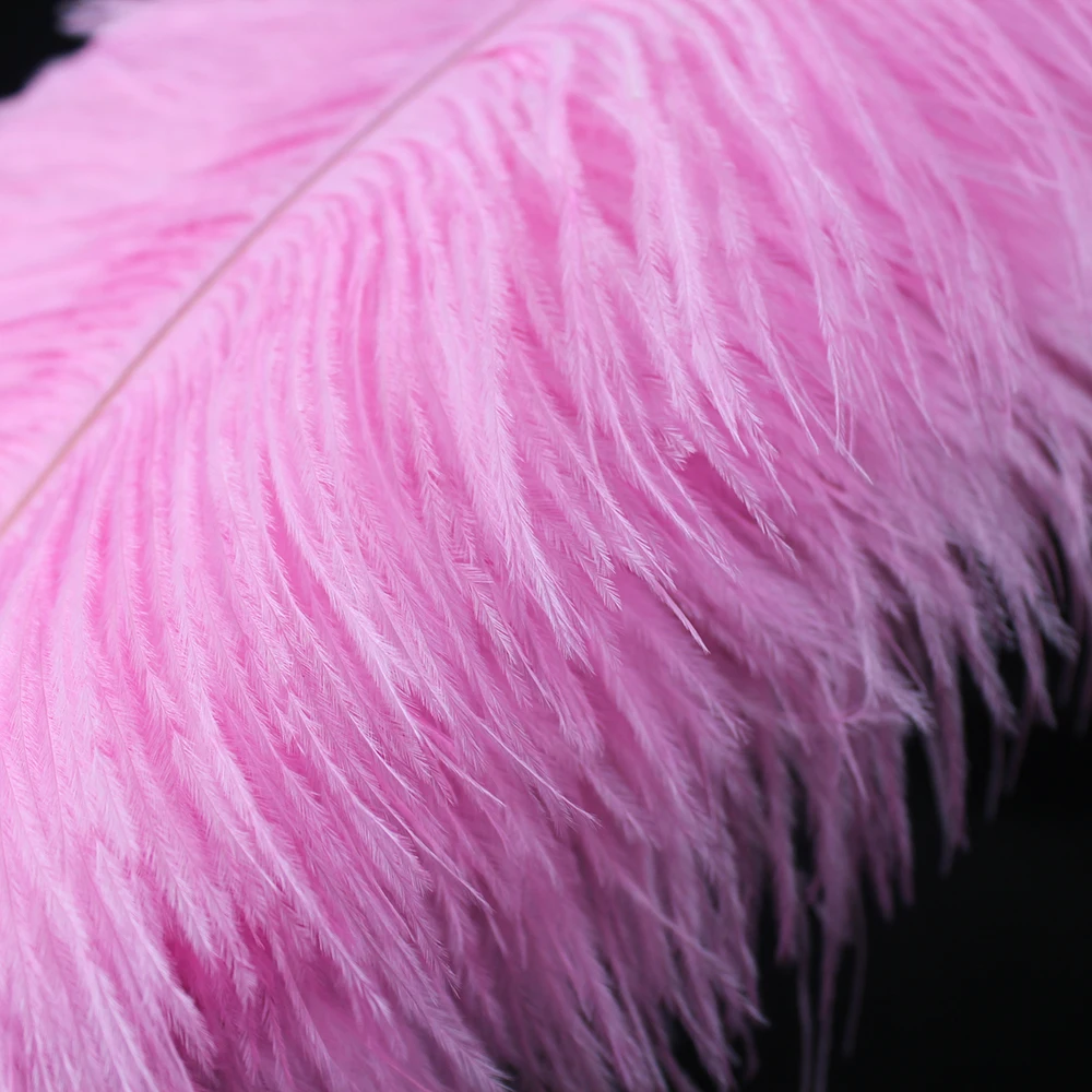 2018 NEW 10PCS ostrich feather natural pink ostrich plumage 50-55 cm / 20 to 22 inches wedding performance art plumes decoration
2018 NEW 10PCS ostrich feather natural pink ostrich plumage 50-55 cm / 20 to 22 inches wedding performance art plumes decoration