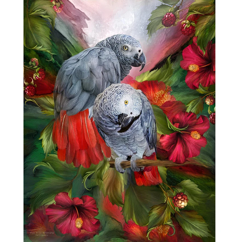 3D DIY Diamond Painting Needlework 3d Diamond EmbroideryTwo Parrots Full Square Drill Rhinestone Pasted Painting Cross Stitch
3D DIY Diamond Painting Needlework 3d Diamond EmbroideryTwo Parrots Full Square Drill Rhinestone Pasted Painting Cross Stitch