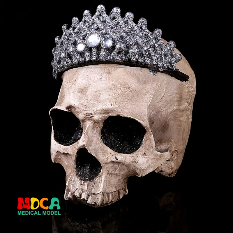 Human.skull model medical simulation teaching equipment resin skull Ornament Gift YTTG014
Human.skull model medical simulation teaching equipment resin skull Ornament Gift YTTG014