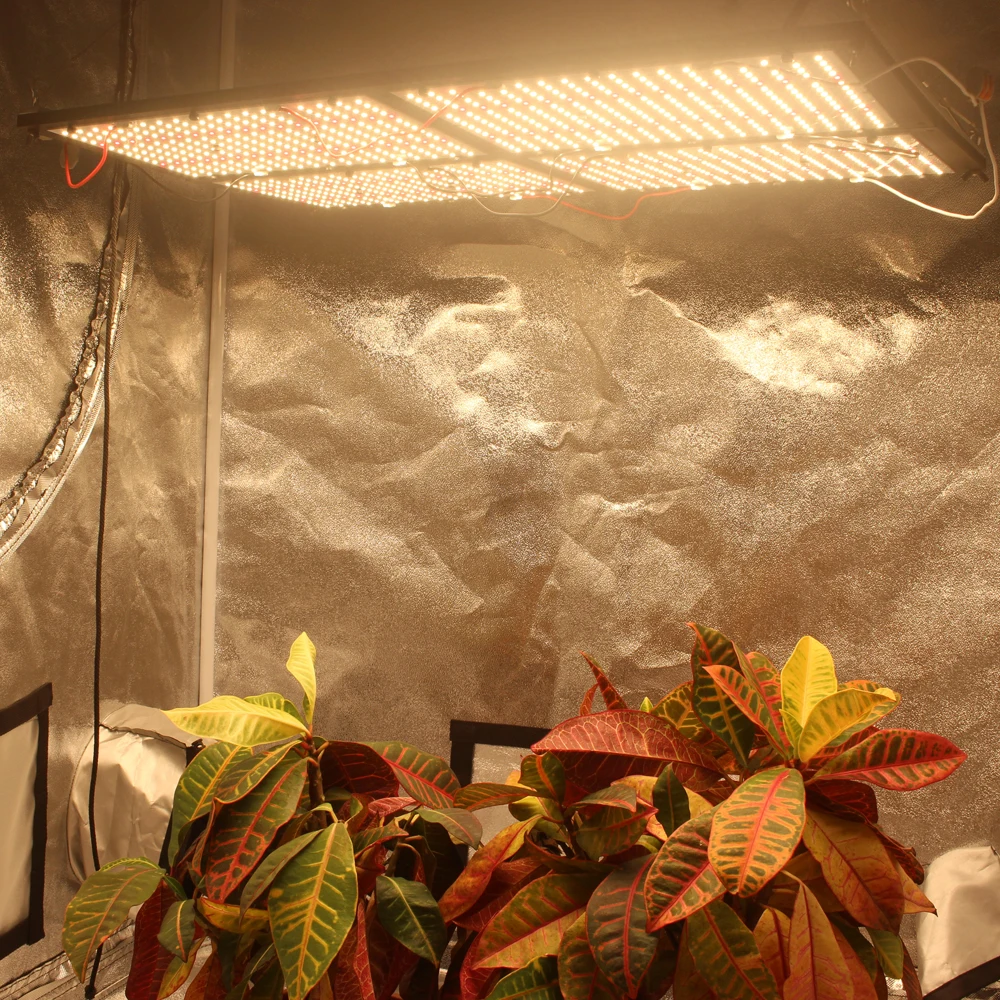 Figolite Grow Quantum Samsung LED Board V2 Led Grow Light 4xQB288 LM301H 500 Вт HLG-480H-48B
Figolite Grow Quantum Samsung LED Board V2 Led Grow Light 4xQB288 LM301H 500 Вт HLG-480H-48B