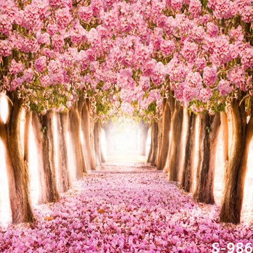 8x8FT Pink Flowers Tree Tunnel Floral Floor Garden Love Wedding Custom Photo Backgrounds Studio Backdrops Vinyl 240cm x 240cm
8x8FT Pink Flowers Tree Tunnel Floral Floor Garden Love Wedding Custom Photo Backgrounds Studio Backdrops Vinyl 240cm x 240cm