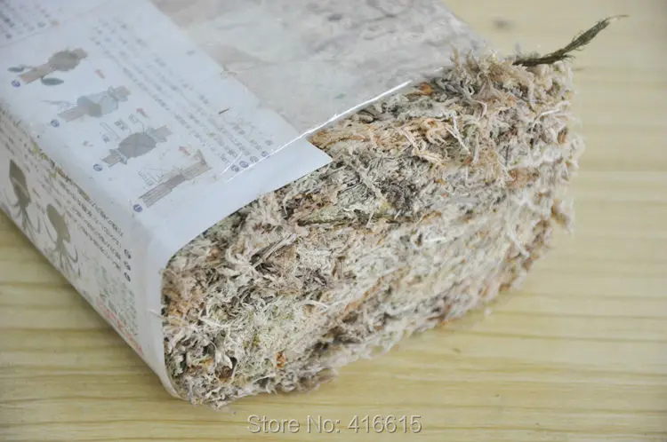 High Quality Sphagnum Moss Bryophytes Phalaenopsis Butterfly Orchid Medium Moisturizing Nutrition Soil 70g/Pack
High Quality Sphagnum Moss Bryophytes Phalaenopsis Butterfly Orchid Medium Moisturizing Nutrition Soil 70g/Pack