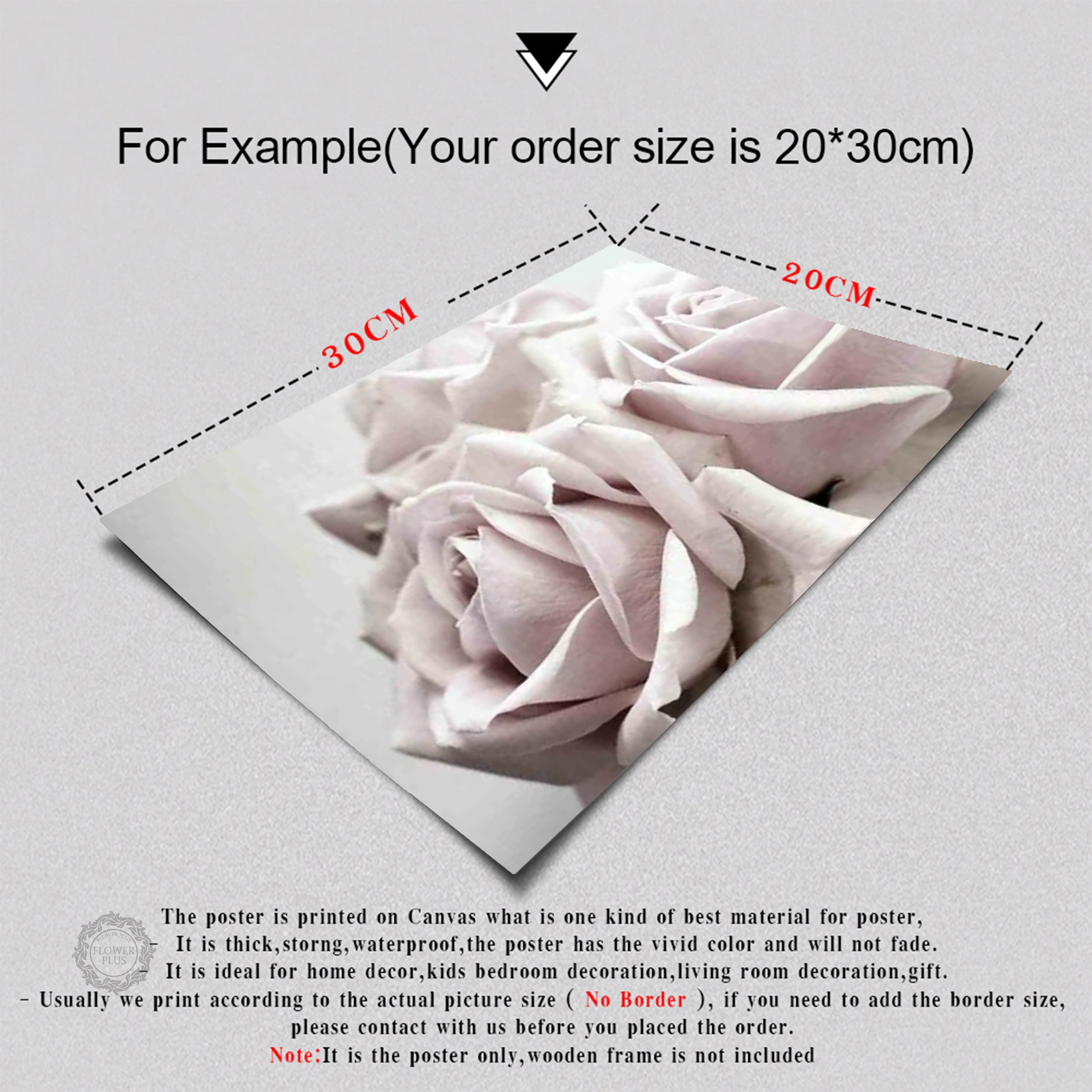 Cuadros Peony Nordic Wall Art Canvas Poster Print Flower Painting Minimalist Scandinavian Decoration Picture Living Room Decor
Cuadros Peony Nordic Wall Art Canvas Poster Print Flower Painting Minimalist Scandinavian Decoration Picture Living Room Decor