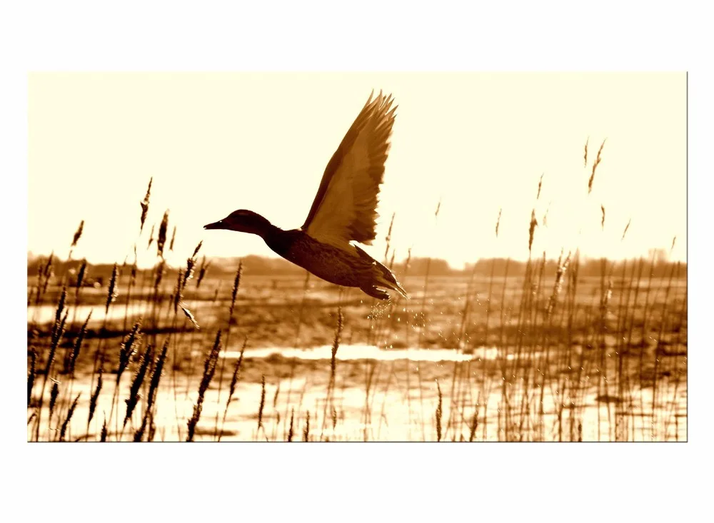 1 Panel birds fly on the ocean sunset Wall painting print on canvas for home decor ideas paints on wall pictures art Framed
1 Panel birds fly on the ocean sunset Wall painting print on canvas for home decor ideas paints on wall pictures art Framed