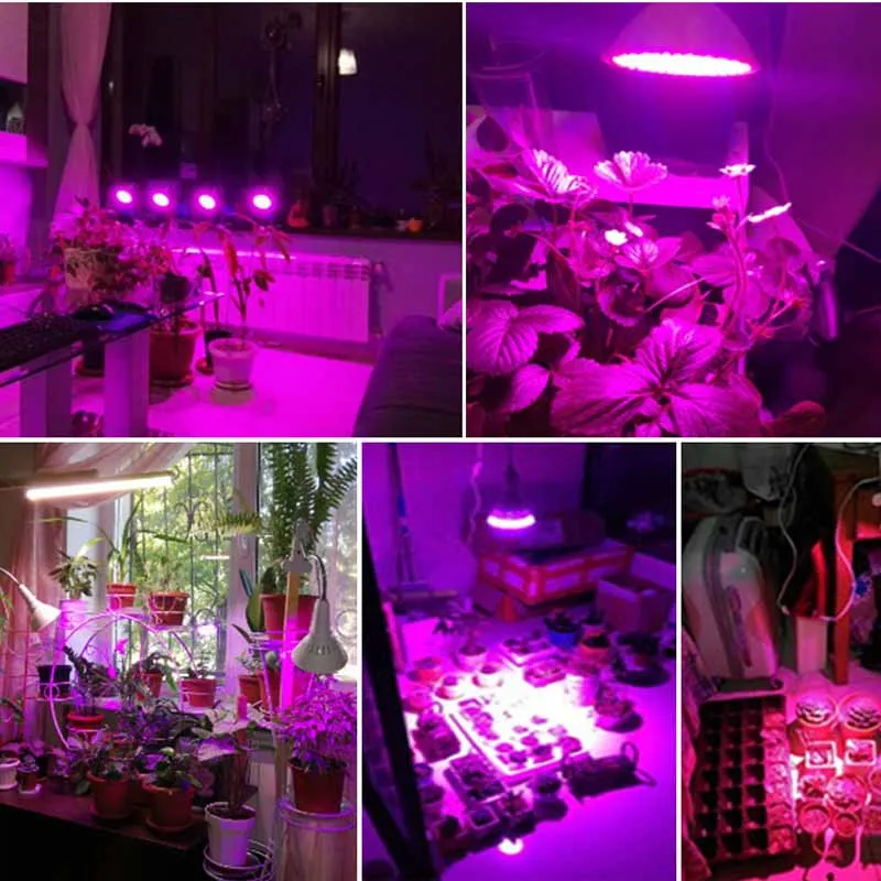 LED Grow Lights 20W 200 LED Plant Grow Light Full Spectrum E27 Red+Blue Hydroponic Flower Veg Growing Lamps with E27 table clip
LED Grow Lights 20W 200 LED Plant Grow Light Full Spectrum E27 Red+Blue Hydroponic Flower Veg Growing Lamps with E27 table clip