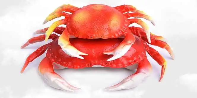 Имитация большого краба, цветок, крабы, морепродукты, модель животных, игрушечный шкаф, дисплей для супермаркета, украшение отеля, морская ж...
Имитация большого краба, цветок, крабы, морепродукты, модель животных, игрушечный шкаф, дисплей для супермаркета, украшение отеля, морская ж...