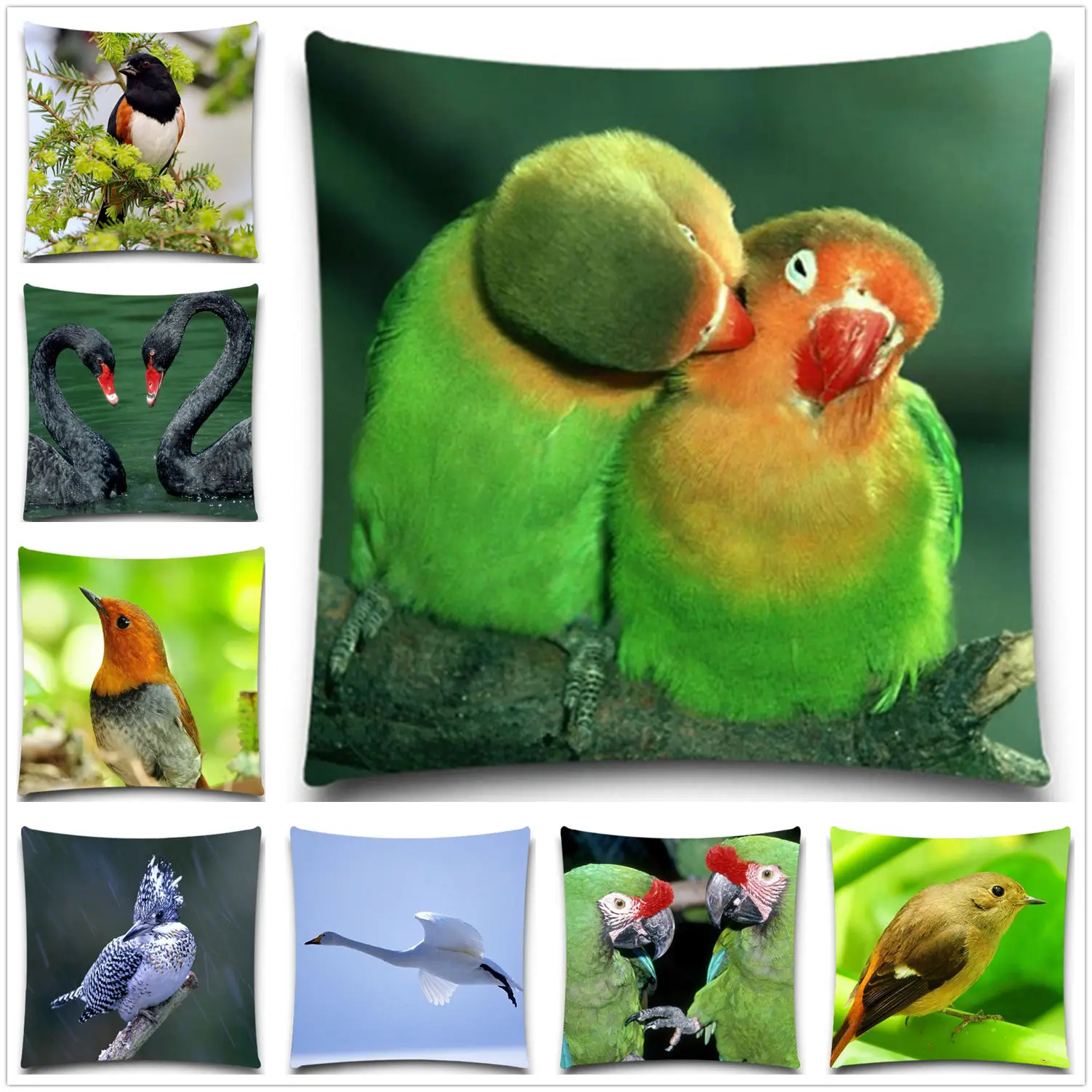 Animals Black swan Bedroom Throw Pillows Cases Magpie Colorful Parrot Sofa Cushion covers Autumn Decorative Pillows Covers
Animals Black swan Bedroom Throw Pillows Cases Magpie Colorful Parrot Sofa Cushion covers Autumn Decorative Pillows Covers