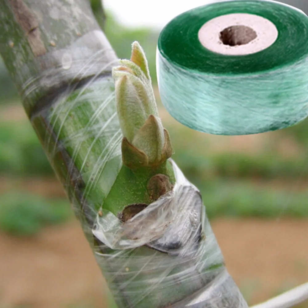 2pc 2~50cm Self-adhesive Fruit Tree Grafting Tape Gardening bind belt Nursery Stretchable Garden Flower Vegetable Grafting tape
2pc 2~50cm Self-adhesive Fruit Tree Grafting Tape Gardening bind belt Nursery Stretchable Garden Flower Vegetable Grafting tape