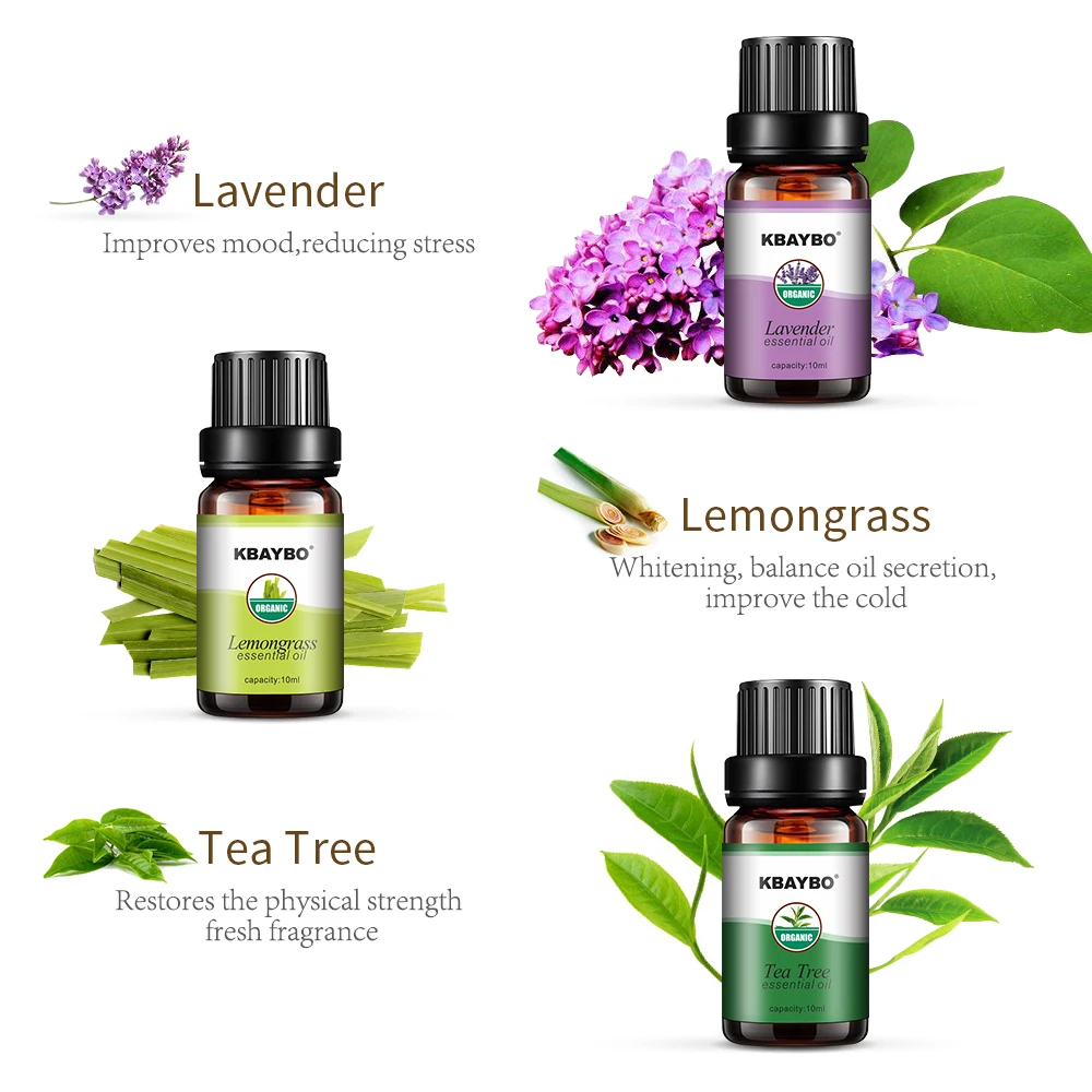 Essential Oil for Diffuser Aromatherapy Oil Humidifier 6 Kinds Fragrance of Rosemary Orange Lavender Peppermint Lemongrass Tea
Essential Oil for Diffuser Aromatherapy Oil Humidifier 6 Kinds Fragrance of Rosemary Orange Lavender Peppermint Lemongrass Tea