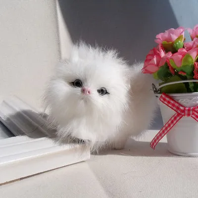 simulation animal cats 7x5x10cm toy model,lifelike cats toy home decoration gift w007
simulation animal cats 7x5x10cm toy model,lifelike cats toy home decoration gift w007