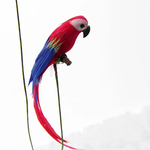 G06-X725 children baby gift Toy 1:12 Dollhouse mini Furniture Miniature rement Simulation red parrot 1pcs
G06-X725 children baby gift Toy 1:12 Dollhouse mini Furniture Miniature rement Simulation red parrot 1pcs
