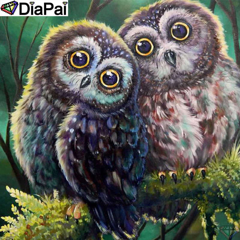 DiaPai Diamond Painting 5D DIY 100% Full Square/Round Drill "Animal owl couple" Diamond Embroidery Cross Stitch 3D Decor A24815
DiaPai Diamond Painting 5D DIY 100% Full Square/Round Drill "Animal owl couple" Diamond Embroidery Cross Stitch 3D Decor A24815