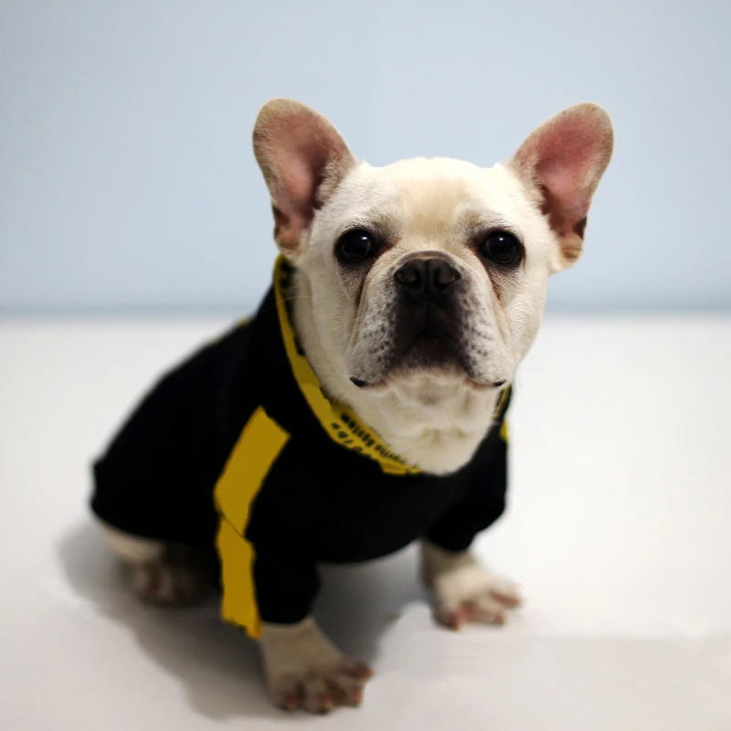 Letter Yellow Stripe Chihuahua Hoodies Schnauzer Sweater Poodle Sweater Pug Costume XS-2XL PC1326
Letter Yellow Stripe Chihuahua Hoodies Schnauzer Sweater Poodle Sweater Pug Costume XS-2XL PC1326