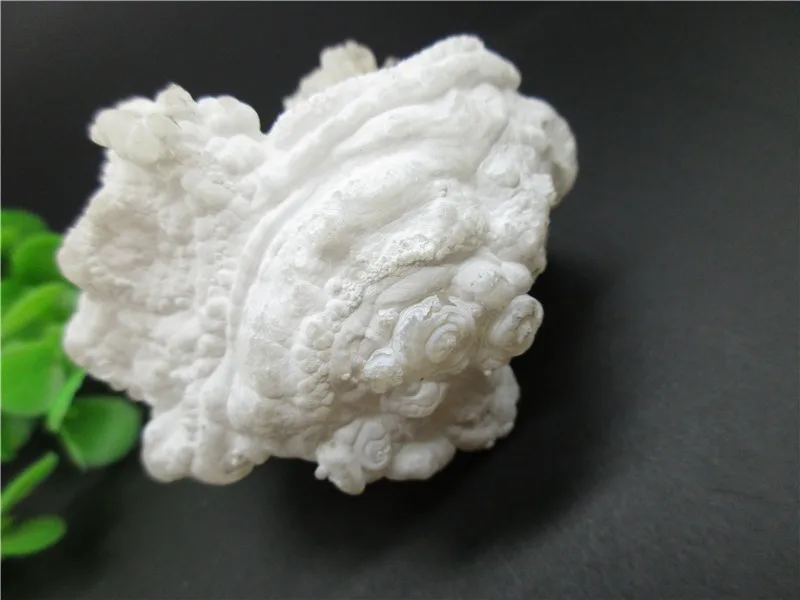 Natural Morocco Agate Mineral Specimen White Agate Quartz Rock Stones Healing Energy Collection Geological Teaching
Natural Morocco Agate Mineral Specimen White Agate Quartz Rock Stones Healing Energy Collection Geological Teaching
