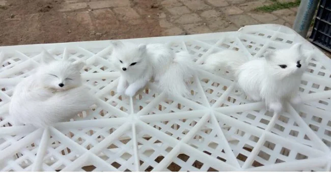 mini 7-12cm plastic&fur white foxes one lot/3 pieces hard model craft home decoration toy gift w0108
mini 7-12cm plastic&fur white foxes one lot/3 pieces hard model craft home decoration toy gift w0108