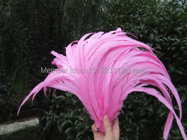 100pcs 30-35cm /12-14inch Pink natural loose rooster feather/cock feather/chicken feather for wedding decoration/cosplay
100pcs 30-35cm /12-14inch Pink natural loose rooster feather/cock feather/chicken feather for wedding decoration/cosplay